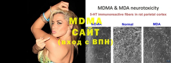 мдпв Новозыбков