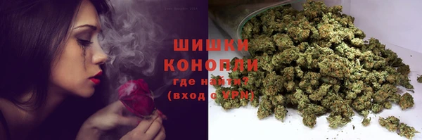 тгк Новодвинск
