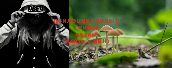 тгк Новодвинск