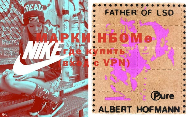 мдпв Новозыбков
