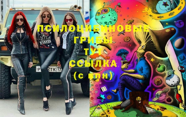 мдпв Новозыбков