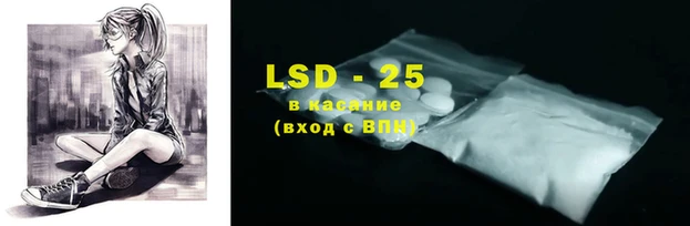 тгк Новодвинск