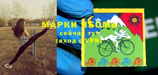 твердый Новокубанск