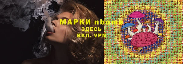 тгк Новодвинск