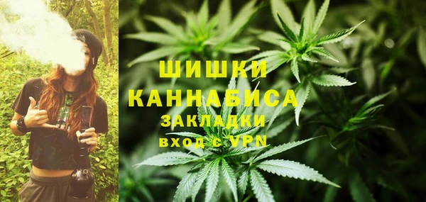 мдпв Новозыбков