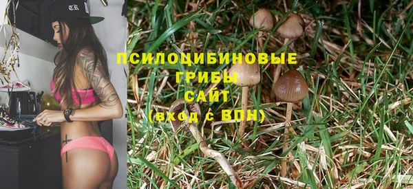 твердый Новокубанск