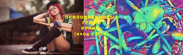 твердый Новокубанск