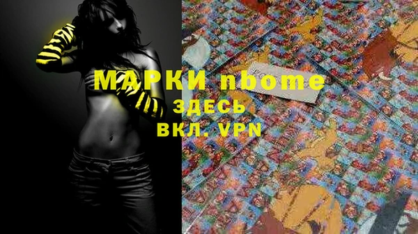 мдпв Новозыбков
