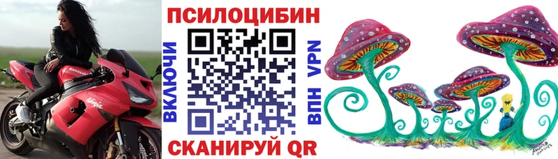 это состав  Зея  Галлюциногенные грибы мухоморы 